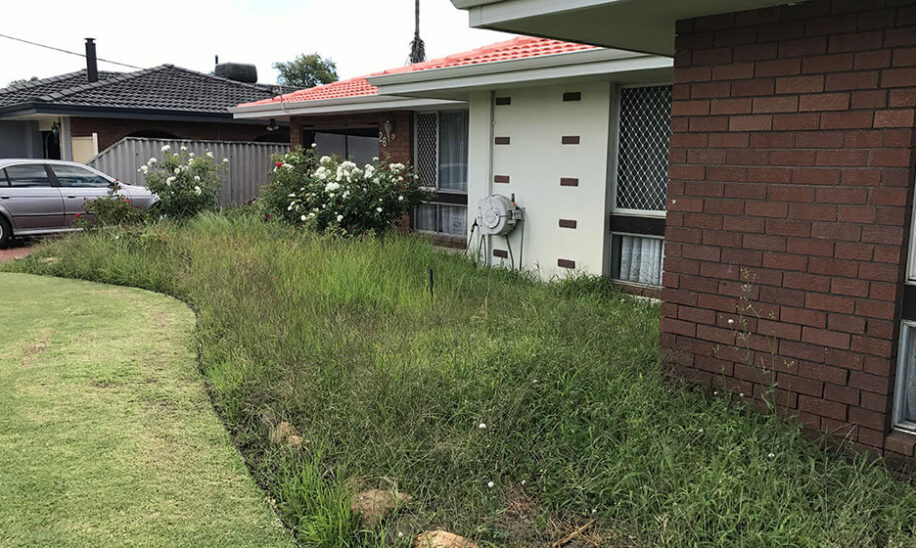 Overgrown garden bed in front of house in Willeton, Perth