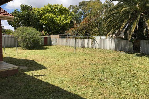 Fully cleared garden with neatly trimmed grass