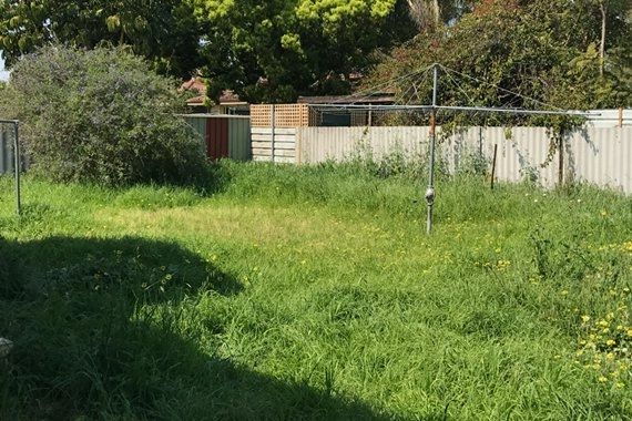 Large, overgrown garden in Armadale Perth