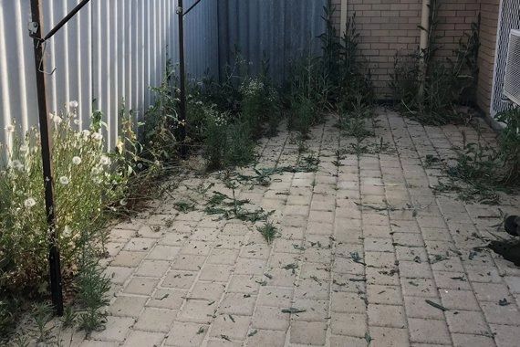 Block paving covered in weeds