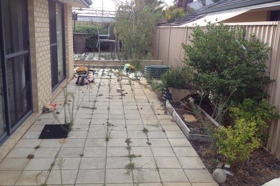 Paved backyard in Canning vale covered in weeds