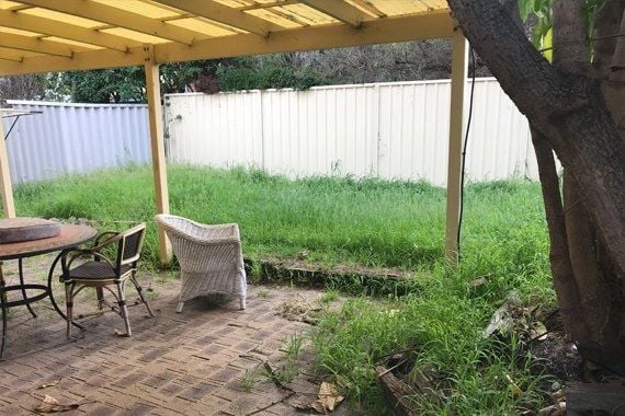 Overgrown lawn in a Como unit