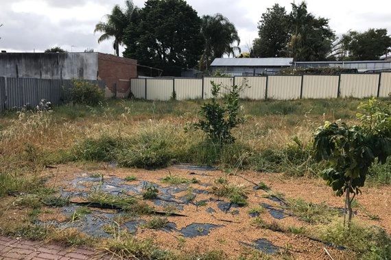 Overgrown block in Manning Perth