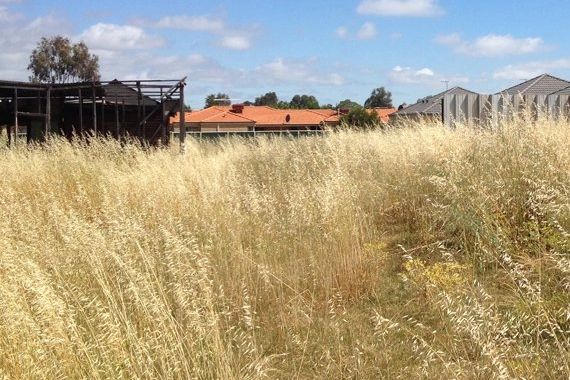 Midland block with overgrown grass that is a fire hazard