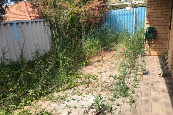 Enclosed back yard - block paved area covered in weeds