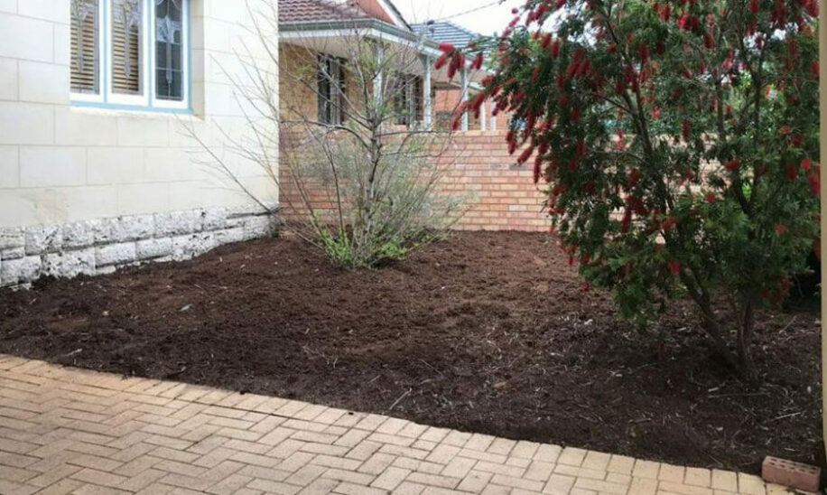 Weeded and cleared garden bed in South Perth