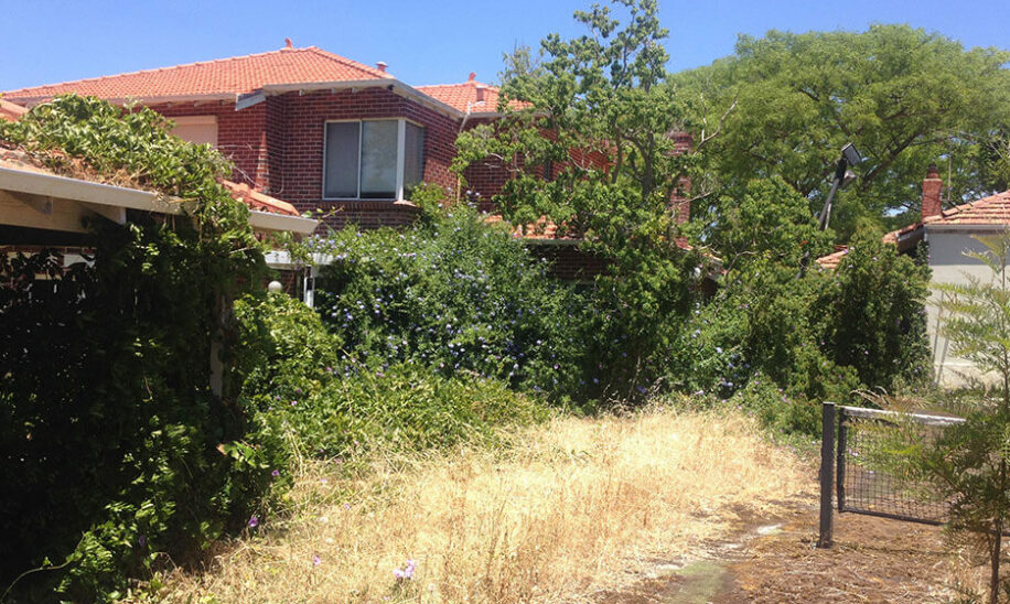 Floreat property before weed removal and land clearing