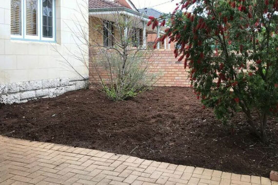 South Perth Garden bed weed free after our visit